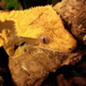 Meet your Posher, Katelyn